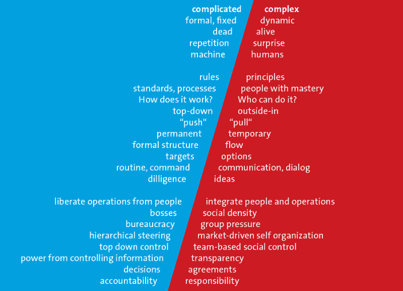 Niels Pflegling Domains complexity